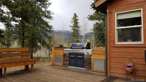 360 Bristlecone Cir, Bailey, CO 80421 photo 5