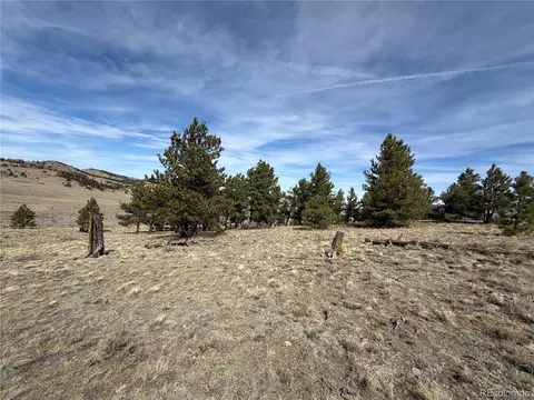 990 Coyotero Trl, Hartsel, CO 80449