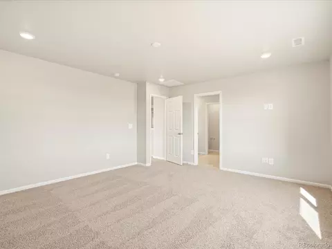 1657 Colorado River Dr, Windsor, CO 80550 photo 32