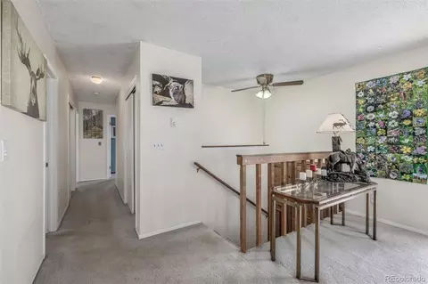 9629 Fallen Rock Rd, Conifer, CO 80433 photo 13