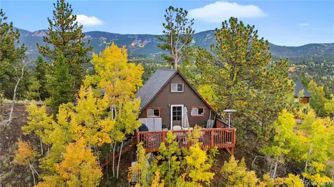 229 Mcdougal Rd, Bailey, CO 80421