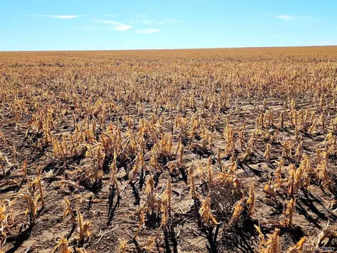 Tbd County Rd, Walsh, CO 81090 photo 13
