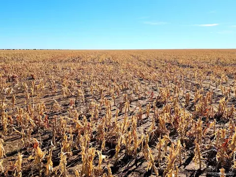 Tbd County Rd, Walsh, CO 81090 photo 10