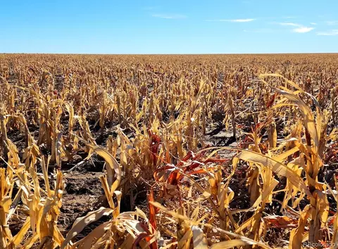 Tbd County Rd, Walsh, CO 81090 photo 12