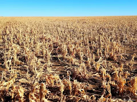 Tbd County Rd, Walsh, CO 81090 photo 5
