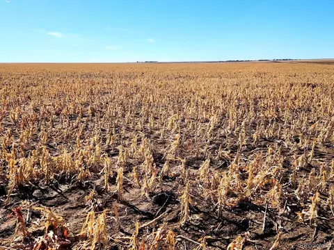 Tbd County Rd, Walsh, CO 81090 photo 3