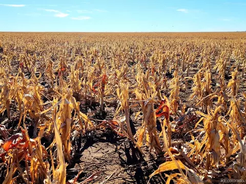 Tbd County Rd, Walsh, CO 81090 photo 9