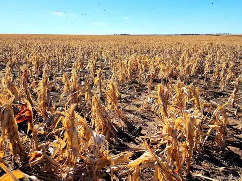 Tbd County Rd, Walsh, CO 81090 photo 2
