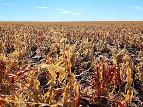 Tbd County Rd, Walsh, CO 81090 photo 4