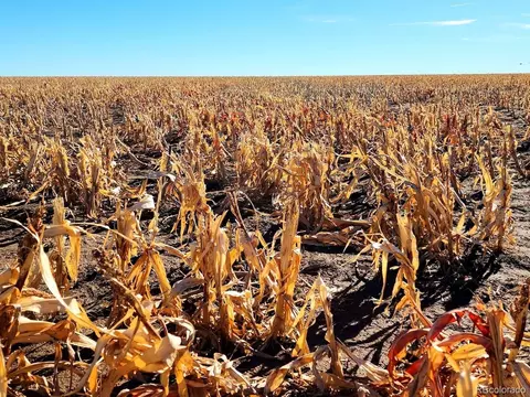 Tbd County Rd, Walsh, CO 81090 photo 11
