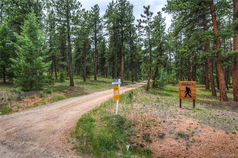 98 Nova Rd, Pine, CO 80470 photo 38