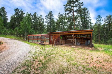 98 Nova Rd, Pine, CO 80470 photo 39