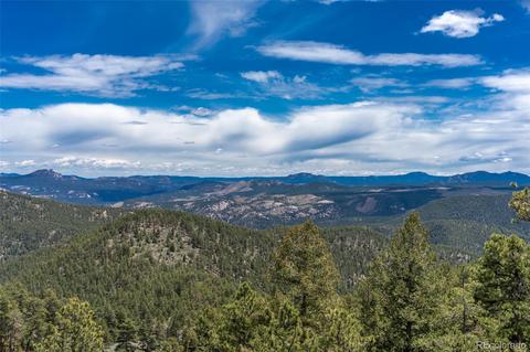 300 Eagle Trl, Bailey, CO 80421 photo 3
