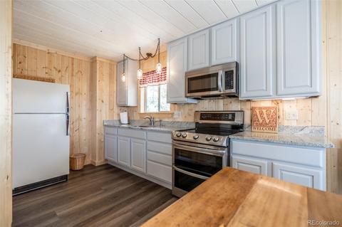 300 Eagle Trl, Bailey, CO 80421 photo 8