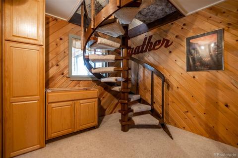 300 Eagle Trl, Bailey, CO 80421 photo 18