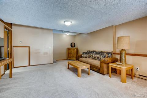 4122 Timbervale Dr, Evergreen, CO 80439 photo 19