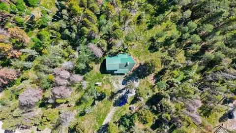 View/Area - 1380 Spruce Rd, Cimarron, CO 81220 photo 1 of 2