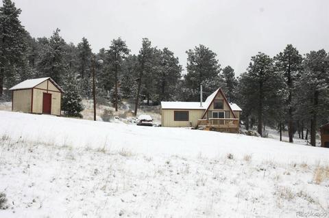 26 Badger Ln, Bailey, CO 80421 photo 1