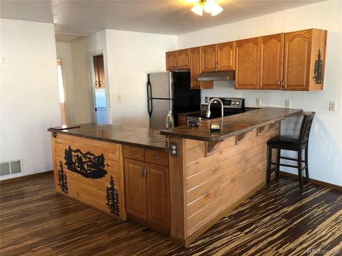 644 Chief Trl, Como, CO 80456 photo 17
