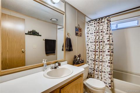618 Old Sawmill Rd, Bailey, CO 80421 photo 20