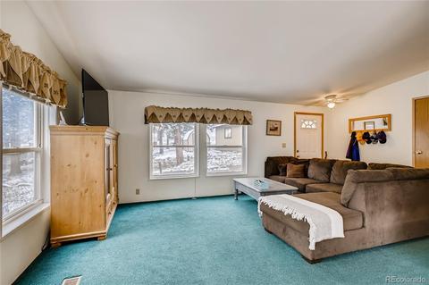 618 Old Sawmill Rd, Bailey, CO 80421 photo 2