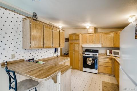 618 Old Sawmill Rd, Bailey, CO 80421 photo 8