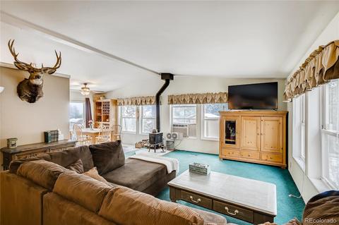 618 Old Sawmill Rd, Bailey, CO 80421 photo 3