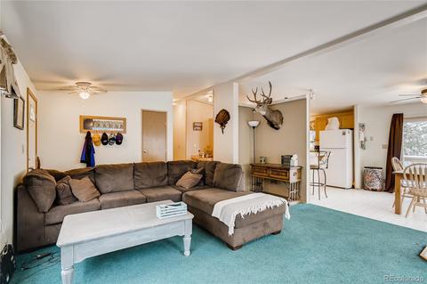 618 Old Sawmill Rd, Bailey, CO 80421 photo 4