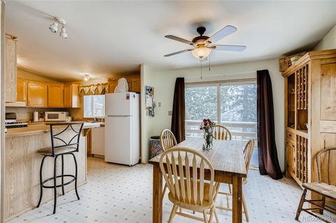 618 Old Sawmill Rd, Bailey, CO 80421 photo 6