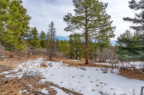 lot2 Spruce Mountain Rd, Cotopaxi, CO 81223 photo 13