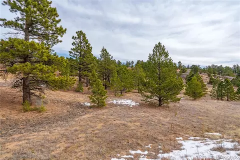 lot2 Spruce Mountain Rd, Cotopaxi, CO 81223 photo 5