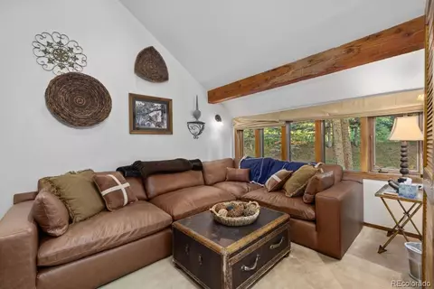 82 Lenawee Ln, Dillon, CO 80435 photo 9