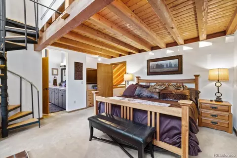 82 Lenawee Ln, Dillon, CO 80435 photo 7