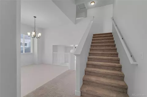 827 Forest Canyon Rd, Severance, CO 80550 photo 3