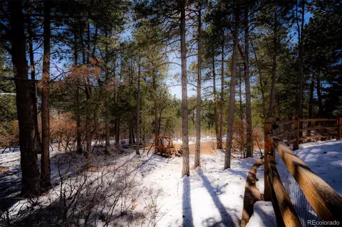 19713 Lindenmere Dr, Monument, CO 80132 photo 40