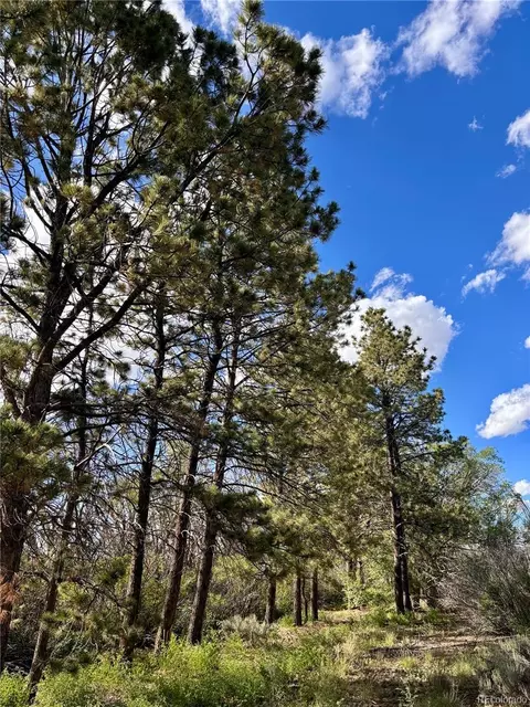 County Road P, San Luis, CO 81152