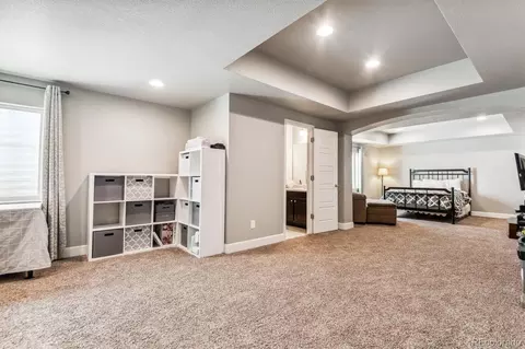 626 Iris St, Brighton, CO 80601 photo 29