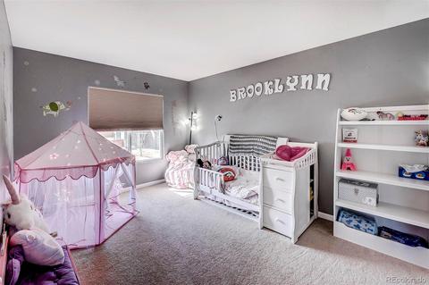 1903 E 164th Pl, Thornton, CO 80602 photo 19