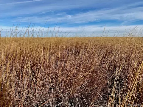 County Road 56, Walsh, CO 81090