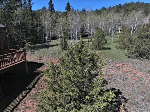 12397 S Danny Ave, Pine, CO 80470 photo 28