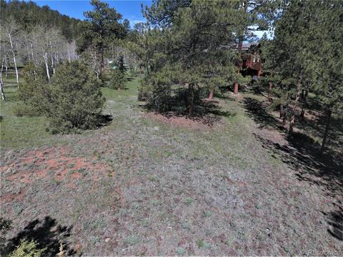 12397 S Danny Ave, Pine, CO 80470 photo 29