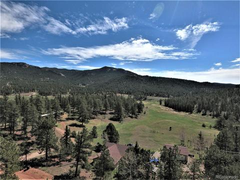 12397 S Danny Ave, Pine, CO 80470 photo 32