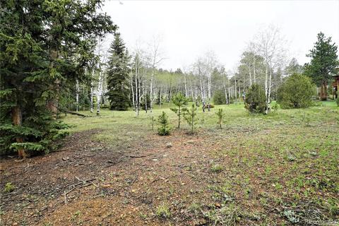 12397 S Danny Ave, Pine, CO 80470 photo 31
