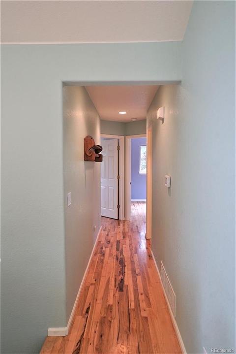 12397 S Danny Ave, Pine, CO 80470 photo 9