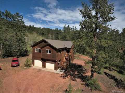 12397 S Danny Ave, Pine, CO 80470 photo 26