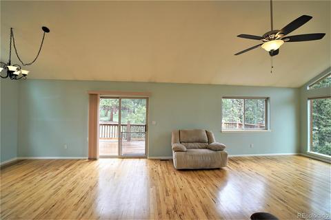 12397 S Danny Ave, Pine, CO 80470 photo 8