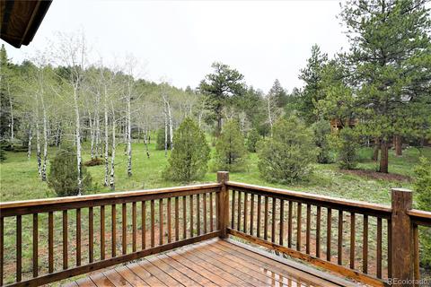 12397 S Danny Ave, Pine, CO 80470 photo 23