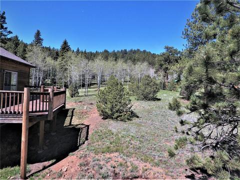 12397 S Danny Ave, Pine, CO 80470 photo 25