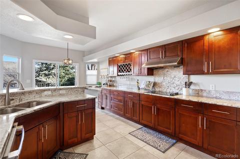 7887 Sweet Water Rd, Lone Tree, CO 80124 photo 12