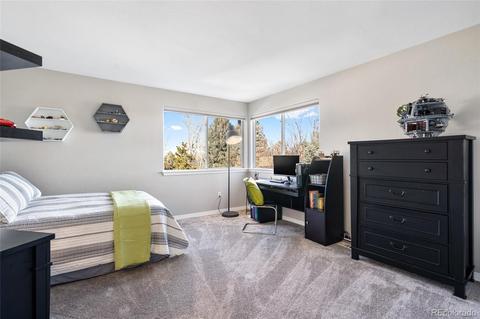 7887 Sweet Water Rd, Lone Tree, CO 80124 photo 26